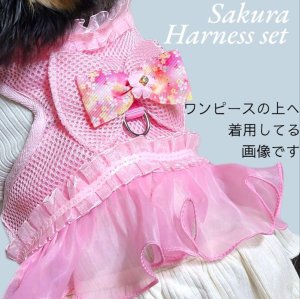 画像8: 愛犬用 犬服 ペット用 ハーネス SET 豪華 フリル ハーネス リード セット キラキラ 桜 ピンク メール便発送