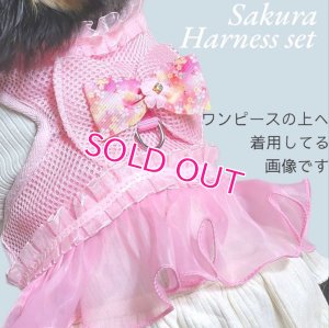 画像8: 愛犬用 犬服 ペット用 ハーネス SET 豪華 フリル ハーネス リード セット キラキラ 桜 ピンク メール便発送