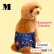 画像4: 特売【在庫限り】【M】宇宙柄マナーベルト【メール便OK】犬用 愛犬 ベルト カフェ