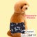画像15: 特売【在庫限り】【S】宇宙柄マナーベルト【メール便OK】犬用 愛犬 ベルト カフェ