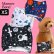 画像1: 特売【在庫限り】【500円】【XS】宇宙柄マナーベルト【メール便OK】犬用 愛犬 ベルト カフェ (1)