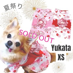 画像3: 在庫限り【XS】【犬 服】【Sale】【帯飾り付】可愛い梅の花ゆかた【Petstyle】浴衣　和装　着物【メール便OK】