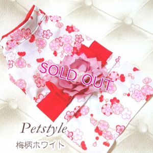 画像10: 在庫限り【XS】【犬 服】【Sale】【帯飾り付】可愛い梅の花ゆかた【Petstyle】浴衣　和装　着物【メール便OK】