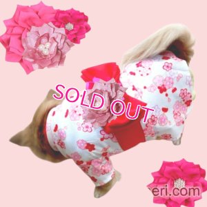 画像14: 在庫限り【XS】【犬 服】【Sale】【帯飾り付】可愛い梅の花ゆかた【Petstyle】浴衣　和装　着物【メール便OK】