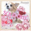 在庫限り【XS】【犬 服】【Sale】【帯飾り付】可愛い梅の花ゆかた【Petstyle】浴衣　和装　着物【メール便OK】