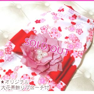 画像16: 在庫限り【XS】【犬 服】【Sale】【帯飾り付】可愛い梅の花ゆかた【Petstyle】浴衣　和装　着物【メール便OK】