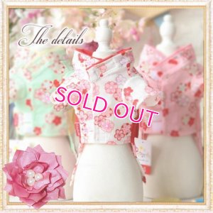 画像21: 在庫限り【XS】【犬 服】【Sale】【帯飾り付】可愛い梅の花ゆかた【Petstyle】浴衣　和装　着物【メール便OK】