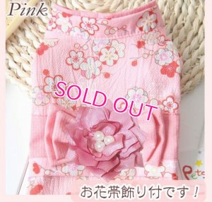 画像5: 在庫限り【XS】【犬 服】【Sale】【帯飾り付】可愛い梅の花ゆかた【Petstyle】浴衣　和装　着物【メール便OK】