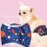 画像1: 特売【在庫限り】【500円】【紺 ネイビー】宇宙柄 マナーベルト【メール便OK】犬用 愛犬ベルト カフェ (1)