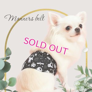 画像6: 特売【在庫限り】【500円】【黒 ブラック】宇宙柄 マナーベルト【メール便OK】犬用 愛犬ベルト カフェ