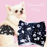 特売【在庫限り】【500円】【黒 ブラック】宇宙柄 マナーベルト【メール便OK】犬用 愛犬ベルト カフェ