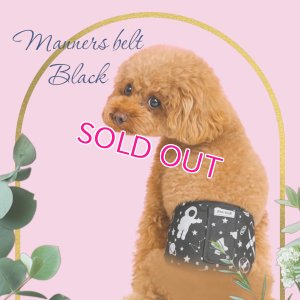 画像2: 特売【在庫限り】【500円】【黒 ブラック】宇宙柄 マナーベルト【メール便OK】犬用 愛犬ベルト カフェ