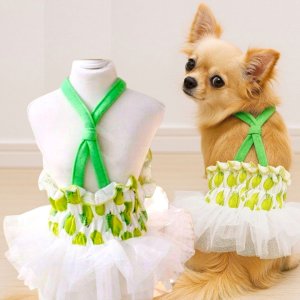 画像1: 【サマーセール】【最終sale】【580円】【犬 服】ライムチュチュワンピース【Petstyle】【メール便OK】 