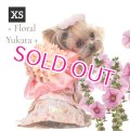 【犬 服】【Sale】【値下げ】【帯飾り付】オシャレゆかた【Cute dog】【メール便OK】ピンク XS