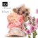 画像1: 【犬 服】【Sale】【1220円】【帯飾り付】オシャレゆかた【Cute dog】【メール便OK】ピンク XS (1)