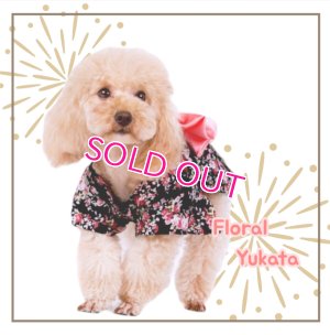 画像10: 【犬 服】【Sale】【1220円】【帯飾り付】オシャレゆかた【Cute dog】【メール便OK】ブラック M