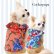 画像1: 【サマーsale】【犬 服】韓国ブランドCockerpapa ギンガムチェック＆ハイビスカスのフリルTEE【コカパパ】【メール便OK】 (1)