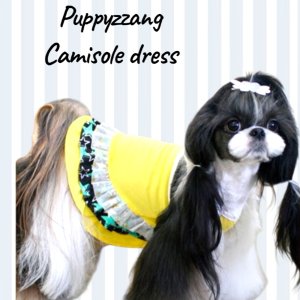 画像3: 【セール】【半額】【犬 服】【メール便OK】キラキラスターのキャミワンピ【Pappyzznag】