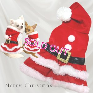 画像1: 【L】訳有り sale 犬服 サンタ コスチュームワンピース