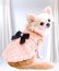 画像4: 【新色】【冬】【犬 服】ビジューリボン付フェイクファーコート【メール便OK】 (4)