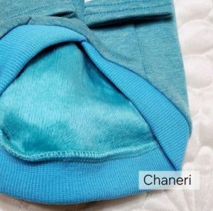 画像6: 【メール便無料】愛犬服 英字ロゴ 長袖 Tシャツ トレーナー 裏起毛 暖かい犬服 犬の冬服 プードル チワワ カッコカワイイ :ターコイズブルー