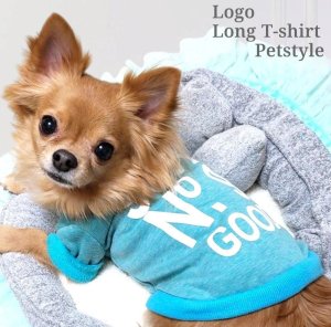 画像7: 【メール便無料】愛犬服 英字ロゴ 長袖 Tシャツ トレーナー 裏起毛 暖かい犬服 犬の冬服 プードル チワワ カッコカワイイ :ターコイズブルー