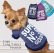 画像9: 【メール便無料】愛犬服 英字ロゴ 長袖 Tシャツ トレーナー 裏起毛 暖かい犬服 犬の冬服 プードル チワワ カッコカワイイ :ネイビー (9)