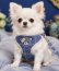 画像2: 【メール便無料】愛犬用 犬服 ペット用 ハーネス SET 犬用 犬 可愛い ベア チェック柄 くま ハーネスセット 胴輪セット 可愛いハーネス 小型犬 散歩 旅行 軽量 簡単装着 ネイビー 紺 (2)