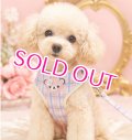【メール便無料】愛犬用 犬服 ペット用 ハーネス SET 犬用 犬 可愛い ベア チェック柄 くま ハーネスセット 胴輪セット 可愛いハーネス 小型犬 散歩 旅行 軽量 簡単装着 淡ピンク