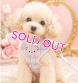【メール便無料】愛犬用 犬服 ペット用 ハーネス SET 犬用 犬 可愛い ベア チェック柄 くま ハーネスセット 胴輪セット 可愛いハーネス 小型犬 散歩 旅行 軽量 簡単装着 淡ピンク