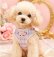 画像1: 【メール便無料】愛犬用 犬服 ペット用 ハーネス SET 犬用 犬 可愛い ベア チェック柄 くま ハーネスセット 胴輪セット 可愛いハーネス 小型犬 散歩 旅行 軽量 簡単装着 淡ピンク (1)