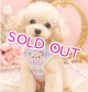 【メール便無料】愛犬用 犬服 ペット用 ハーネス SET 犬用 犬 可愛い ベア チェック柄 くま ハーネスセット 胴輪セット 可愛いハーネス 小型犬 散歩 旅行 軽量 簡単装着 淡ピンク