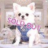 【メール便無料】愛犬用 犬服 ペット用 ハーネス SET 犬用 犬 可愛い ベア チェック柄 くま ハーネスセット 胴輪セット 可愛いハーネス 小型犬 散歩 旅行 軽量 簡単装着 ネイビー 紺