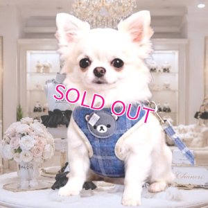 画像1: 【メール便無料】愛犬用 犬服 ペット用 ハーネス SET 犬用 犬 可愛い ベア チェック柄 くま ハーネスセット 胴輪セット 可愛いハーネス 小型犬 散歩 旅行 軽量 簡単装着 ネイビー 紺