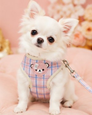 画像3: 【メール便無料】愛犬用 犬服 ペット用 ハーネス SET 犬用 犬 可愛い ベア チェック柄 くま ハーネスセット 胴輪セット 可愛いハーネス 小型犬 散歩 旅行 軽量 簡単装着 淡ピンク