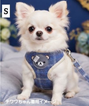 画像10: 【メール便無料】愛犬用 犬服 ペット用 ハーネス SET 犬用 犬 可愛い ベア チェック柄 くま ハーネスセット 胴輪セット 可愛いハーネス 小型犬 散歩 旅行 軽量 簡単装着 ネイビー 紺