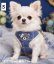 画像10: 【メール便無料】愛犬用 犬服 ペット用 ハーネス SET 犬用 犬 可愛い ベア チェック柄 くま ハーネスセット 胴輪セット 可愛いハーネス 小型犬 散歩 旅行 軽量 簡単装着 ネイビー 紺 (10)