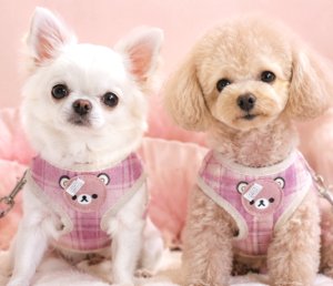 画像2: 【メール便無料】愛犬用 犬服 ペット用 ハーネス SET 犬用 犬 可愛い ベア チェック柄 くま ハーネスセット 胴輪セット 可愛いハーネス 小型犬 散歩 旅行 軽量 簡単装着 プラムピンク