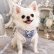 画像2: 【メール便無料】愛犬用 犬服 ペット用 ハーネス SET 犬用 犬 可愛い ベア チェック柄 くま ハーネスセット 胴輪セット 可愛いハーネス 小型犬 散歩 旅行 軽量 簡単装着 淡いグレー (2)