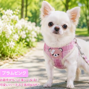 画像1: 【メール便無料】愛犬用 犬服 ペット用 ハーネス SET 犬用 犬 可愛い ベア チェック柄 くま ハーネスセット 胴輪セット 可愛いハーネス 小型犬 散歩 旅行 軽量 簡単装着 プラムピンク