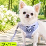 【メール便無料】愛犬用 犬服 ペット用 ハーネス SET 犬用 犬 可愛い ベア チェック柄 くま ハーネスセット 胴輪セット 可愛いハーネス 小型犬 散歩 旅行 軽量 簡単装着 淡いグレー