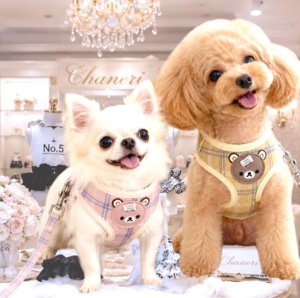 画像7: 【メール便無料】愛犬用 犬服 ペット用 ハーネス SET 犬用 犬 可愛い ベア チェック柄 くま ハーネスセット 胴輪セット 可愛いハーネス 小型犬 散歩 旅行 軽量 簡単装着 マスタード色
