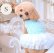 画像2: 【春夏】【Sale】【犬 服】ローズモチーフチュチュドレス【Lollypop】【メール便OK】 (2)