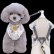 画像4: 【メール便無料】犬用 花柄 ハーネス＆リード 小型犬 旅行 散歩 胴輪セット 軽量 簡単装着 ベージュ系 (4)