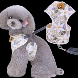 画像2: 【メール便無料】犬用 花柄 ハーネス＆リード 小型犬 旅行 散歩 胴輪セット 軽量 簡単装着 ベージュ系