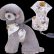 画像2: 【メール便無料】犬用 花柄 ハーネス＆リード 小型犬 旅行 散歩 胴輪セット 軽量 簡単装着 ベージュ系 (2)