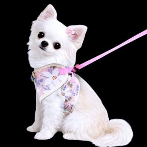 画像7: 【メール便無料】犬用 花柄 ハーネス＆リード 小型犬 旅行 散歩 胴輪セット 軽量 簡単装着 ピンク系