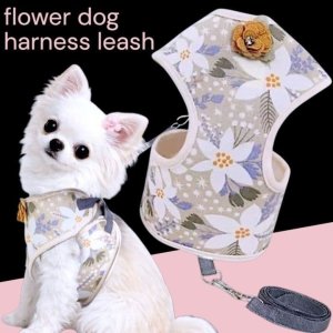 画像1: 【メール便無料】犬用 花柄 ハーネス＆リード 小型犬 旅行 散歩 胴輪セット 軽量 簡単装着 ベージュ系