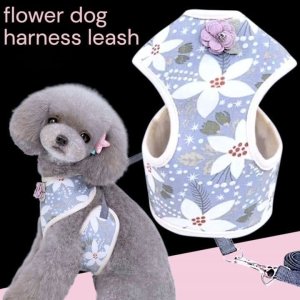 画像1: 【メール便無料】犬用 花柄 ハーネス＆リード 小型犬 旅行 散歩 胴輪セット 軽量 簡単装着 ブルー系