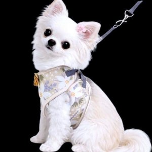 画像8: 【メール便無料】犬用 花柄 ハーネス＆リード 小型犬 旅行 散歩 胴輪セット 軽量 簡単装着 ベージュ系